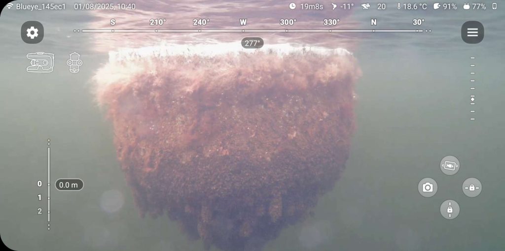 SCS ROV Aquaculture Inspection